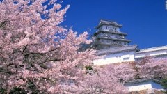 Japan’s 31 most beautiful places