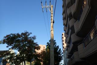 日本最古のコンクリート電柱