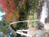 勝尾寺の写真