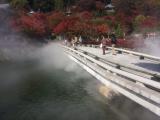 勝尾寺の写真