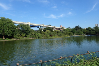 千葉公園