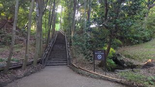 柿田川公園