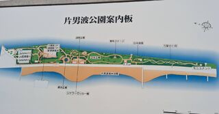 片男波海水浴場
