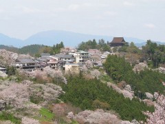 吉野山(奈良県)