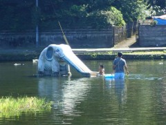池の中の象さん滑り台