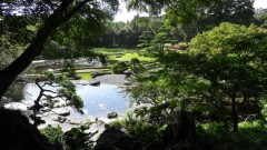 二の丸庭園(日本庭園)
