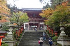 【京都】宇宙のパワー鞍馬寺と恋のパワー貴船神社の見所