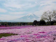 米国CNNが選んだ「日本の最も美しい場所」31選