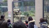 上野動物園の写真