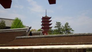 豊国神社(千畳閣)・五重塔