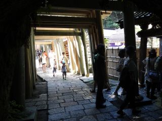 銭洗弁天(宇賀福神社)