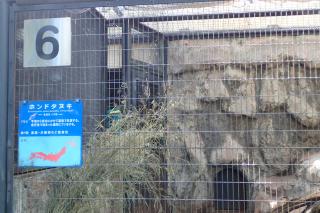 野毛山動物園