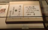 北海道大学総合博物館の写真