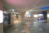 札幌駅前バスターミナルの写真