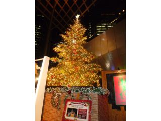 日本テレビ-クリスマスイルミネーション