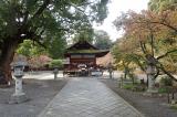 平野神社の写真