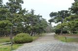 浜寺公園の写真