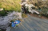 弘明寺公園の写真