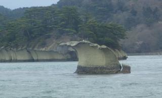 松島島巡り(遊覧船)