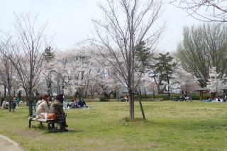 霞城公園(山形城跡)