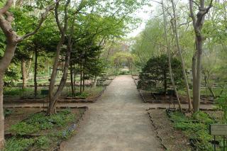 北海道大学植物園
