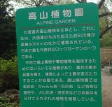 北海道大学植物園の写真