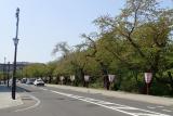 弘前公園の写真