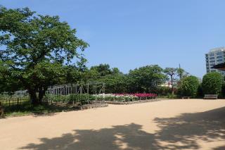 牡丹・芍薬園