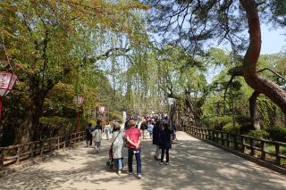 弘前公園