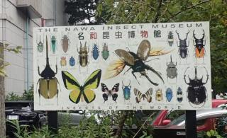 名和昆虫博物館