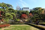 二の丸庭園(皇居東御苑)の写真
