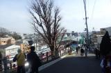 大倉山公園の写真