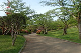 八幡山公園の写真