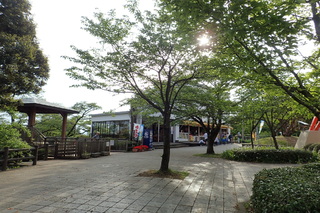 八幡山公園