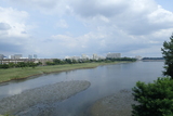 谷津干潟の写真
