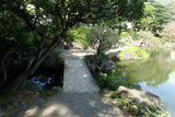 旧安田庭園の写真