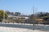 前橋公園の写真
