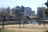 前橋公園の写真