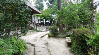 杉本寺
