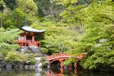 醍醐寺の写真