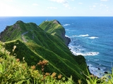 神威岬の写真