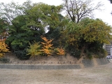 有岡城跡(伊丹城)の写真