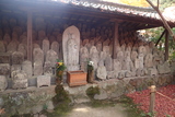 蓮華寺の写真