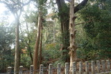崇道神社の写真
