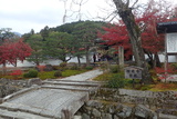 圓光寺の写真