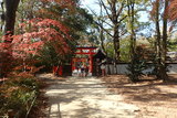 河合神社の写真