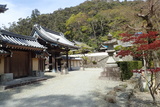 瀧安寺の写真