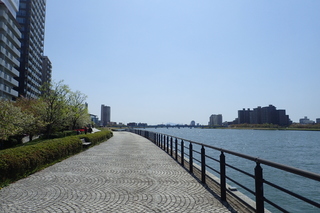 信濃川やすらぎ堤緑地