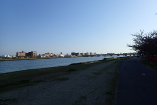 信濃川やすらぎ堤緑地