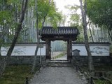 竹の寺・地蔵院の写真